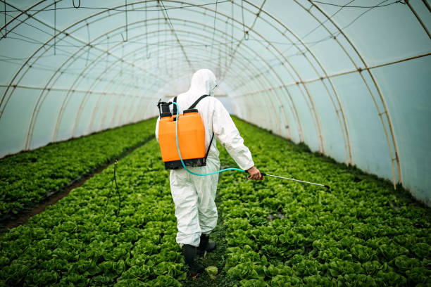 Best Mosquito Control Services  in Lima, PA