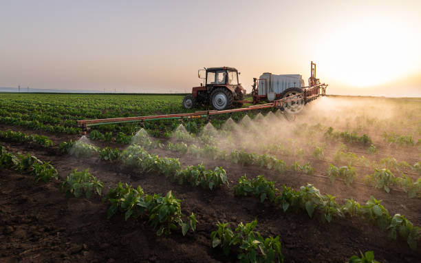 Best Commercial Pest Control Services  in Lima, PA