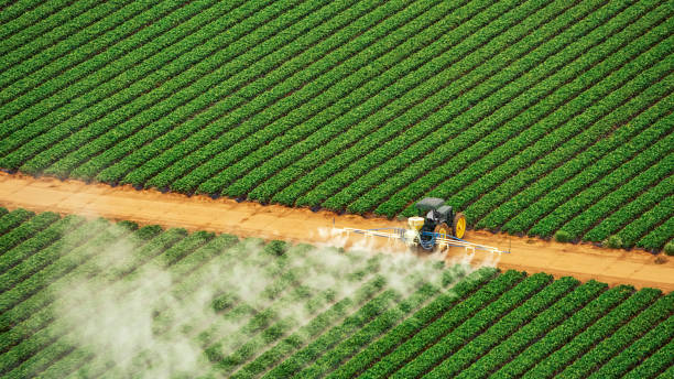 Best Pest Removal Services  in Lima, PA