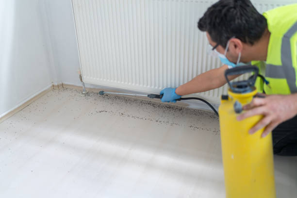 Best Cockroach Control Services  in Lima, PA